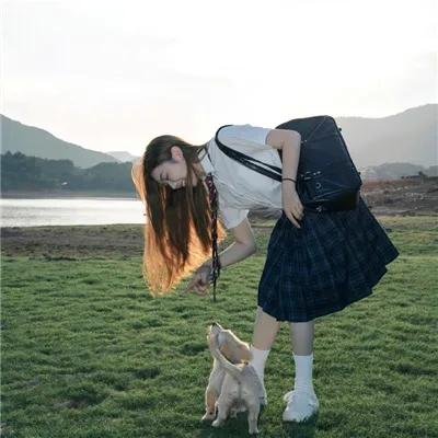 狗岛的宝藏